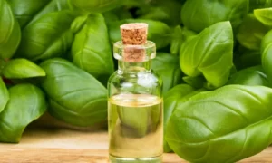 Basil Oil